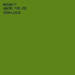 #5C8417 - Vida Loca Color Image